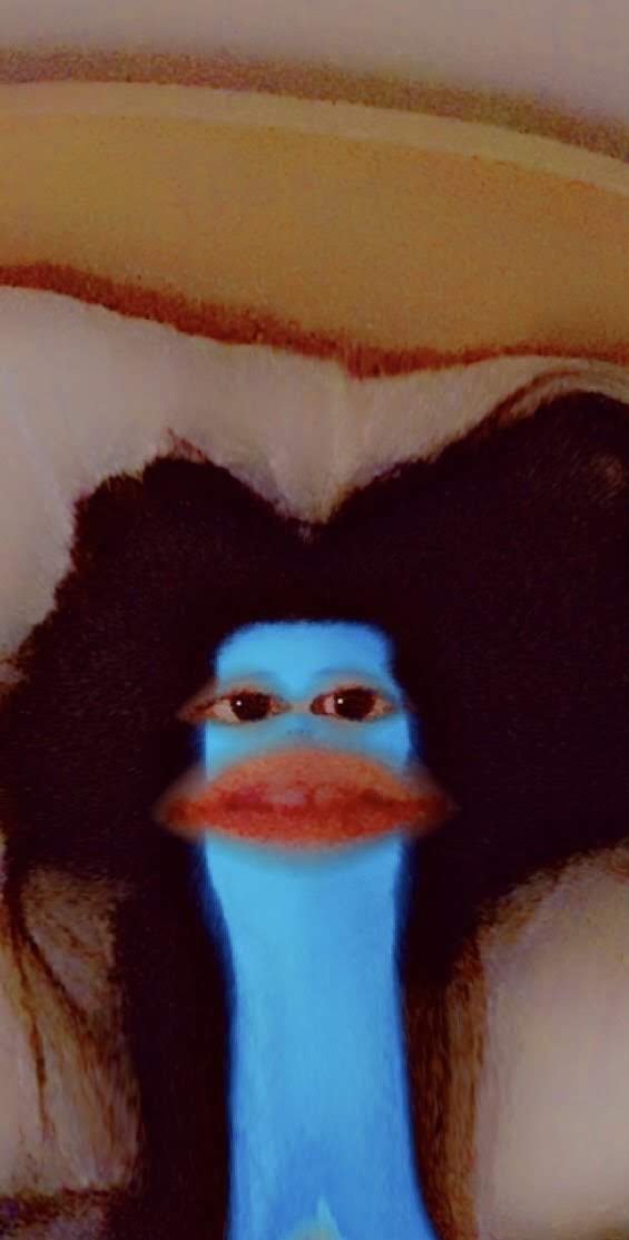 A picture of you